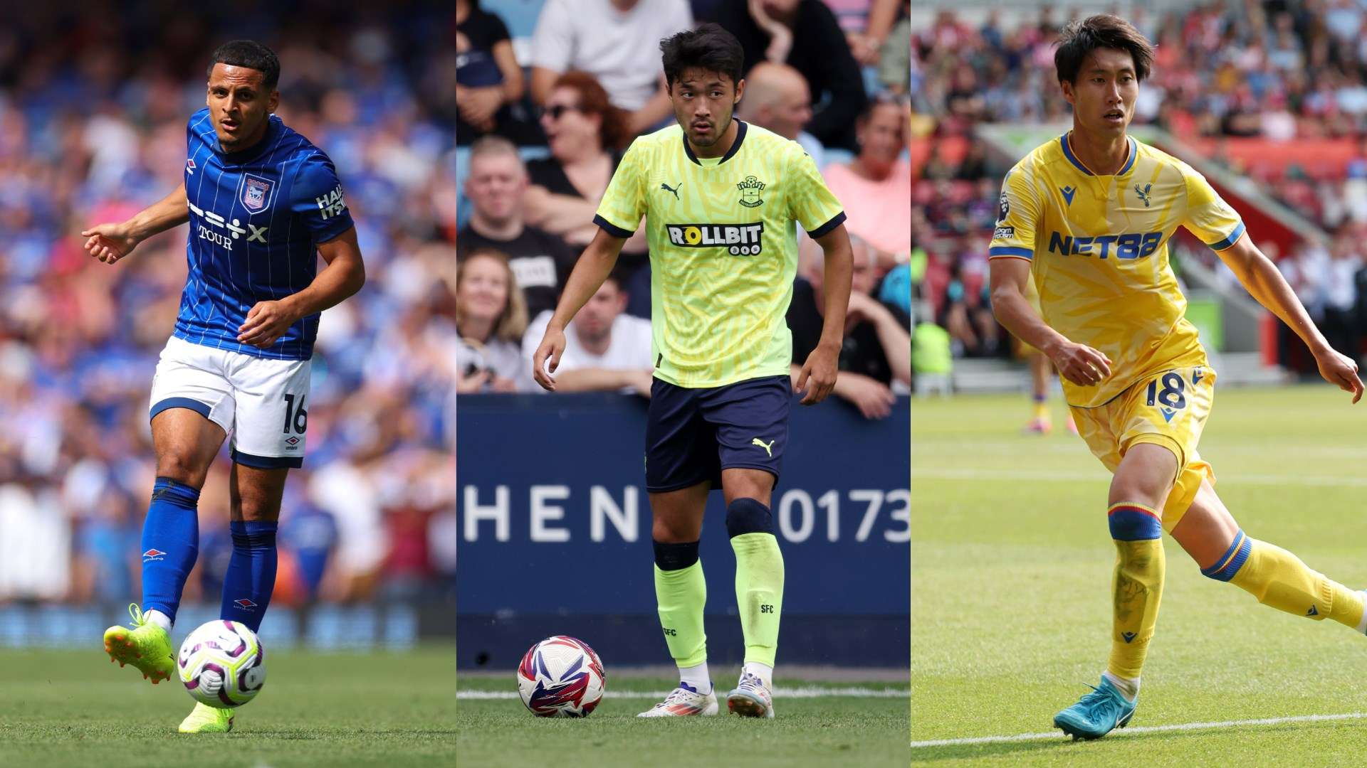 分利用了主 分利用了主