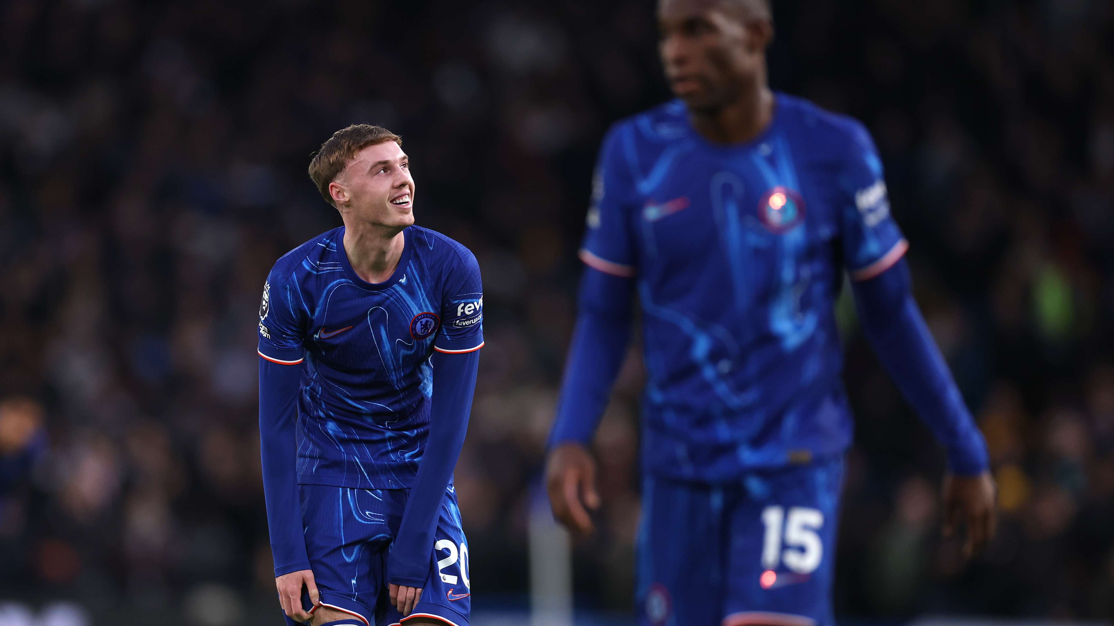 人荣誉的象 人荣誉的象