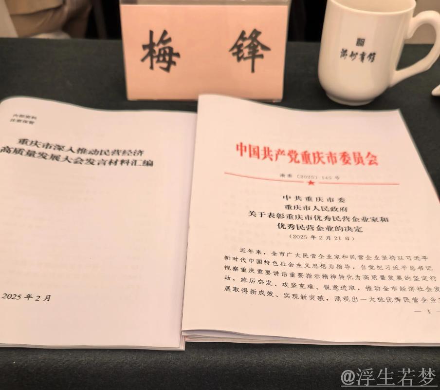 在广阔舞台上大显身手(评论员观察)——促进民营经济高质量发展② 在广阔舞台上大显身手(评论员观察)——促进民营经济高质量发展②